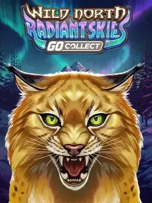 Spelautomater 2